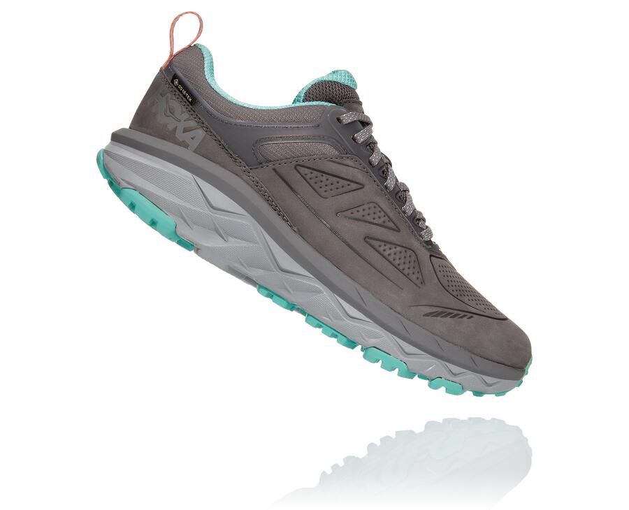 Hoka One One Spor Ayakkabı Kadın Gri - Challenger Kısa Gore-Tex - SL8920534